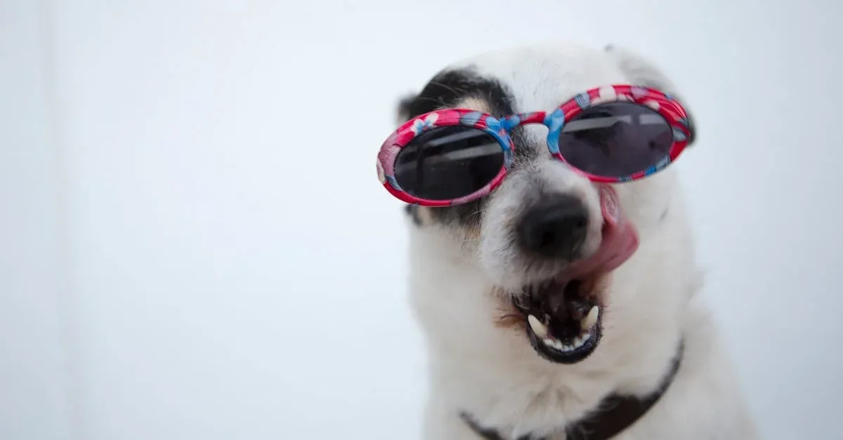 Dog-Health-Issues-254.jpeg